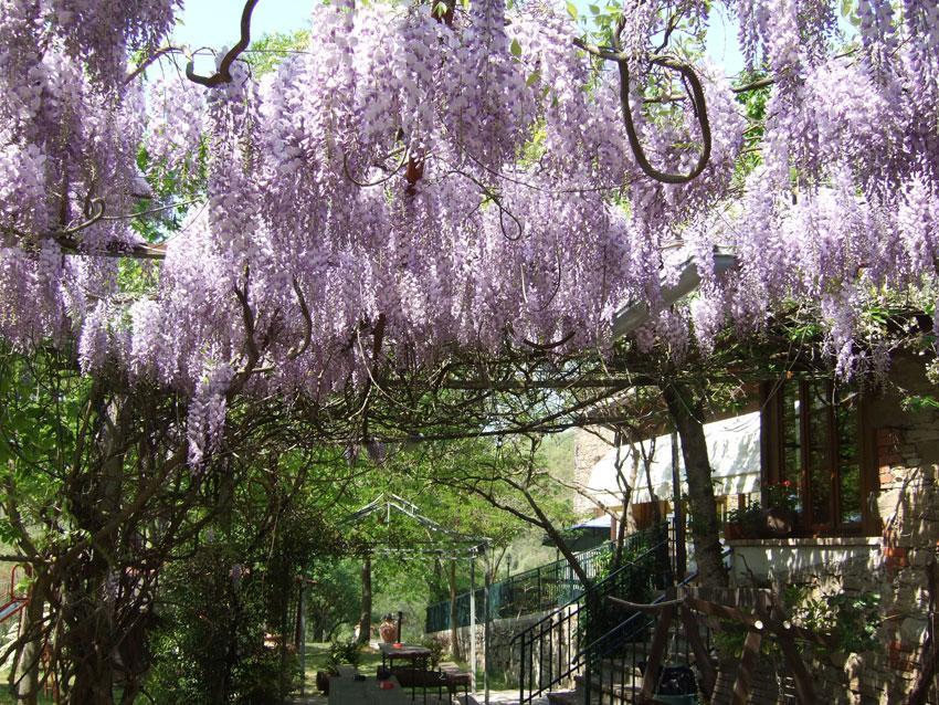 Agriturismo Oasi Verde Mengara Hotell Gubbio Exteriör bild